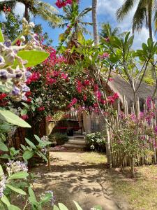 Zahrada ubytování Amahelia Luxury Resort & Restaurant - Gili Asahan