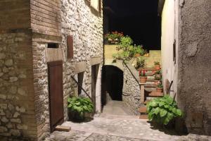 Meggiano的住宿－Il Rustico di Meggiano，种植盆栽的小巷和一座建筑