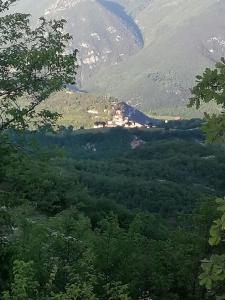 Elle offre une vue sur une vallée avec des arbres et une montagne. dans l'établissement Il Rustico di Meggiano, à Meggiano