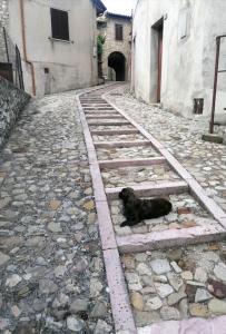 un chien noir allongé sur le sol dans une ruelle dans l'établissement Il Rustico di Meggiano, à Meggiano
