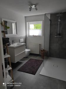 ein Bad mit einer Dusche, einem Waschbecken und einem WC in der Unterkunft Ferienwohnung Daheim in Achstetten