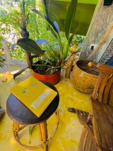 a yellow box sitting on a chair next to a plant at Moksha eco villa Ella in Ella