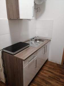 - une cuisine avec un évier et un comptoir dans l'établissement Apolo 3, à Chemnitz