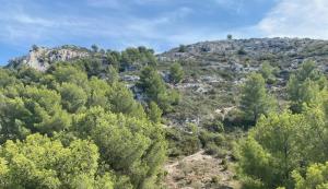 une vue d'une montagne avec des arbres dessus dans l'établissement Grand appartement T2, lumineux, au calme, au pied des Calanques, proche Mer, à Marseille