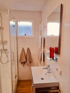 a bathroom with a sink and a shower at Westend Amelander Kaap 85 in Hollum