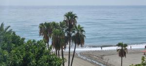 een strand met palmbomen en de oceaan bij Apartamentos Real 81 in Estepona