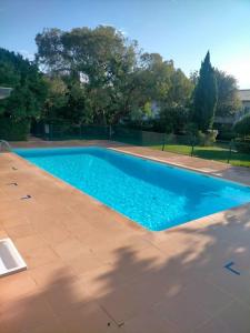 - une piscine d'eau bleue dans la cour dans l'établissement L'Eucalyptus, à Marans