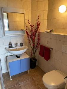 uma casa de banho com um lavatório, um WC e um espelho. em Studio der Alpen em Thun