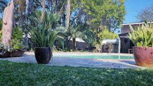 a swimming pool with two potted plants in a yard at Zoete Rust Boutique Hotel in Lephalale