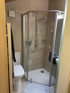La salle de bains est pourvue d'une douche et de toilettes. dans l'établissement Chalet d'Ayral avec jardin privatif, à Leysin