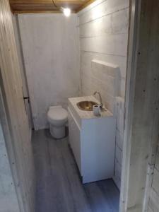 Baño pequeño con aseo y lavamanos en cabane, en Aspremont