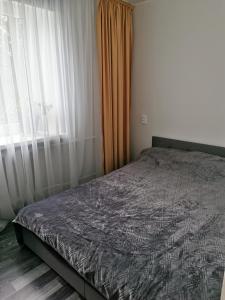 a bedroom with a bed next to a window at Jaama Apartement in Valga