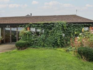 Zahrada ubytování The Barn