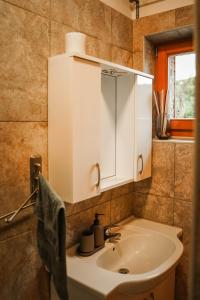 a bathroom with a sink and a medicine cabinet at Holiday Home GaMaJaMa in Dobravlje