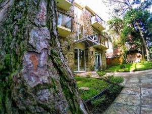 a stone house with a tree in front of it at Apart El Mar in Mar de las Pampas