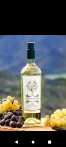 una bottiglia di vino seduta accanto a un grappolo d'uva di Cabaña Abra del Monte Monohambiente a Cachí