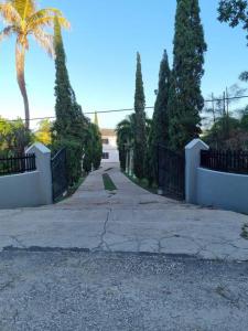 a driveway leading to a house with a gate and trees at Stunning 3-Bedroom house in Ocho Rios Upton in Ocho Rios