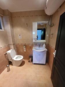 Gostilitsa的住宿－Комплекс Белла Терра，一间带卫生间和水槽的浴室