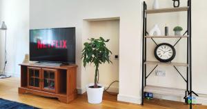 a living room with a tv and a plant at Cambridge Stays 3BR House-Garden-Lots of Parking-15 min to City Center- Close to Cambridge Science park in Cambridge