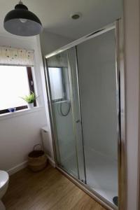 a bathroom with a glass shower with a toilet at 16 Station Square in Saint Marys