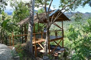 Příroda nedaleko hotelu