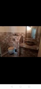 a bathroom with a sink and a toilet in it at Nid douillet in Genilac
