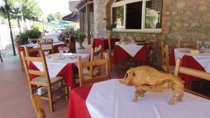 Εστιατόριο ή άλλο μέρος για φαγητό στο Albergo Di Murlo