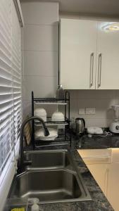 拉各斯的住宿－Gerdette Luxury Apartment，厨房配有水槽和台面