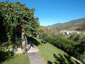 Blick auf den Garten vom Haus aus in der Unterkunft Casa Rural Josefina 1 y 2 in Navaconcejo