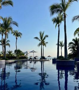 une piscine avec des palmiers et l'océan dans l'établissement Oceanview Oasis in La Cruz, à La Cruz de Huanacaxtle