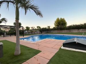 uma palmeira sentada ao lado de uma piscina em Corvera Gardens, Corvera Golf and Country Club em Corvera