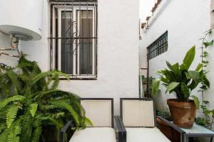 セビリアにあるLujoso apartamento con patio en Triana Sevillaの建物の前に植物のあるパティオ(椅子2脚付)