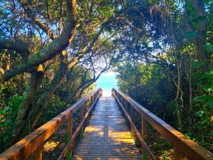 un puente de madera en medio de un bosque en Belle Arti Pousada, en Florianópolis