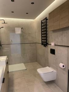 W łazience znajduje się prysznic, toaleta i umywalka. w obiekcie Apartamenty Parkowa - Kamień Śląski w mieście Kamień Śląski