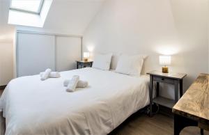 a bedroom with a white bed with two pillows on it at Refuge centre ville avec parking in Annecy