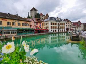 a river in a city with buildings and flowers at Refuge centre ville avec parking in Annecy