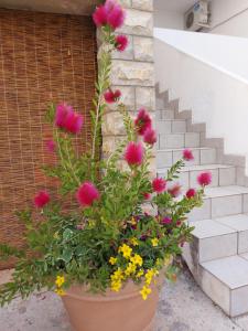 Zahrada ubytování Rumora Ivan Apartment