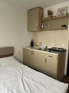 a bedroom with a bed and a sink and a counter at Garsoniera Luca in Drobeta-Turnu Severin