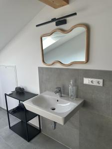 uma casa de banho com um lavatório e um espelho na parede em Hof Busen Landhaus Ap. oben links em Mönchengladbach