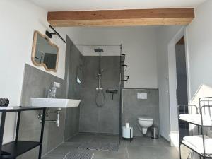 uma casa de banho com um chuveiro, um lavatório e um WC. em Hof Busen Landhaus Ap. oben links em Mönchengladbach