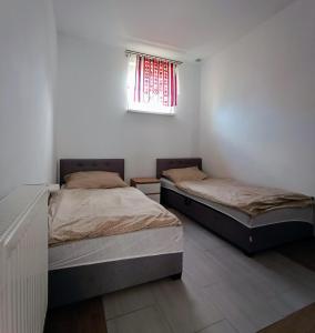 two beds in a white room with a window at Agroturystyka Alex in Szczecinek