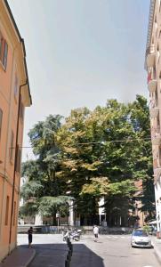 雷焦艾米利亞的住宿－punto G，街道中间的一棵大树