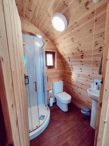 a bathroom with a toilet and a shower in a log cabin at Saints' Meadow in Crich