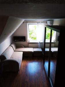 ein Wohnzimmer mit einem Sofa und einem Fenster in der Unterkunft Apartament Mazurska 24a in Kętrzyn