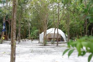 a tent in the middle of a forest at Ashamaya Belitung (Dome Glamping Site) in Pasarbaru