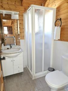 a bathroom with a shower and a toilet and a sink at La casita de madera Sijuela in Ronda