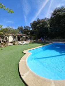 a swimming pool in a yard with a green lawn at La casita de madera Sijuela in Ronda
