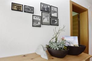 Fotografie z fotogalerie ubytování Ferienwohnung Saxenhammer v destinaci Vandans