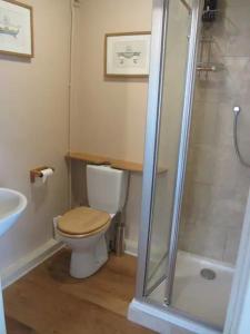 a bathroom with a toilet and a shower at The Garden Room in Dundon