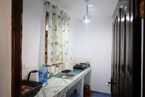 a kitchen counter with a sink and a refrigerator at Roma Airbnb 